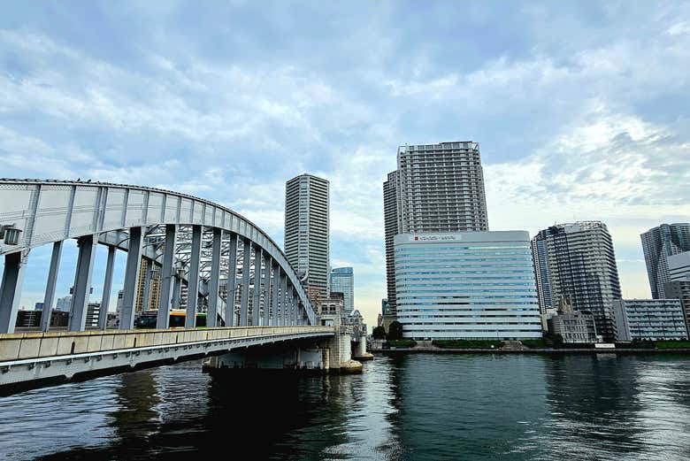 Tour gratuito por Tsukiji - Galería 1