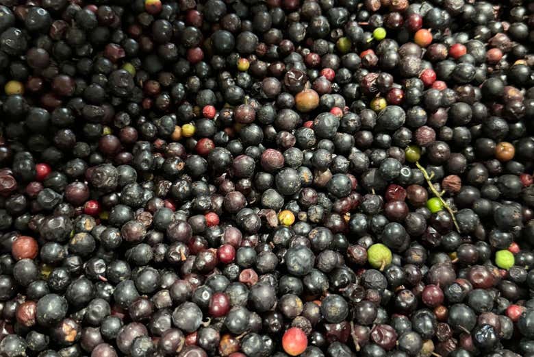 Tour de la fruta colombiana por Medellín