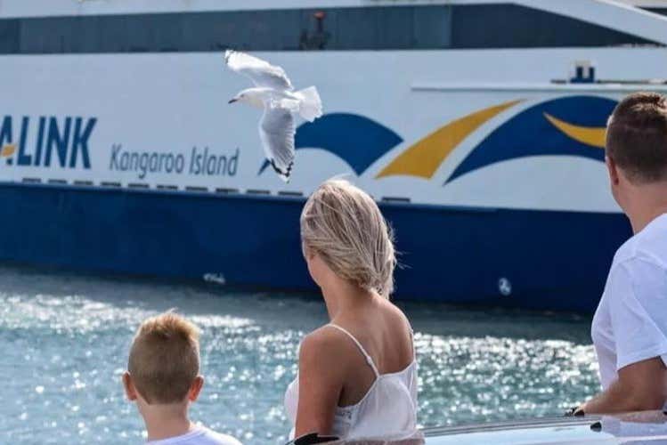 Ferry a Isla Canguro