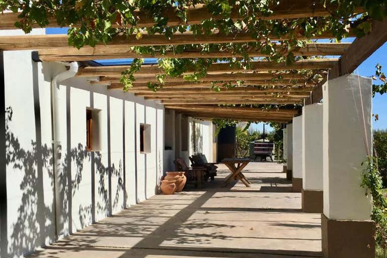 Visita a las bodegas El Nevado y Fow