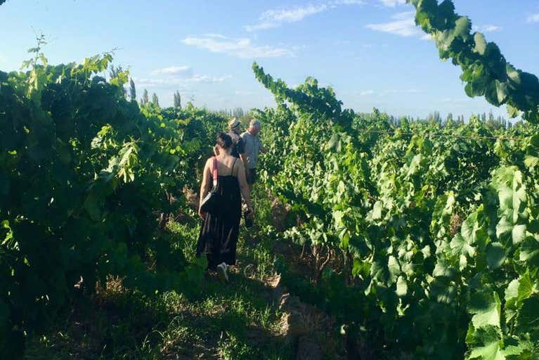 Visita a las bodegas El Nevado y Fow