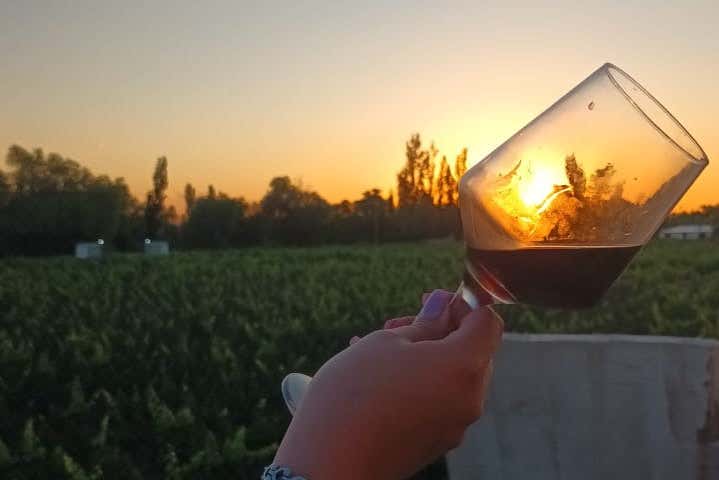 Visita a la bodega La Mansa Wine States