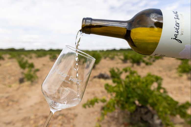Visita a la bodega Javier Sanz