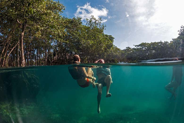 Tour privado por Holbox