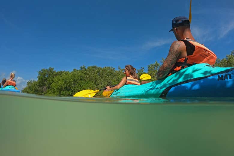 Tour privado por Holbox