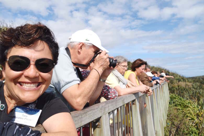 Tour por Napier y Hastings