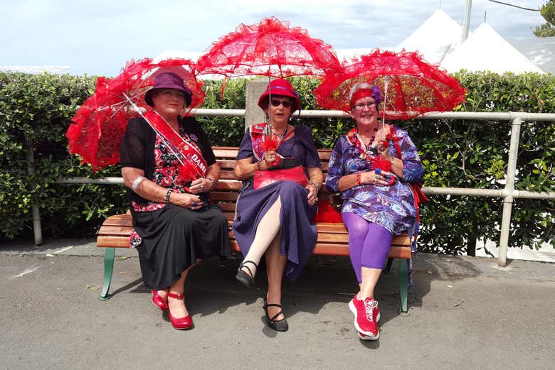 Tour por Napier y Hastings