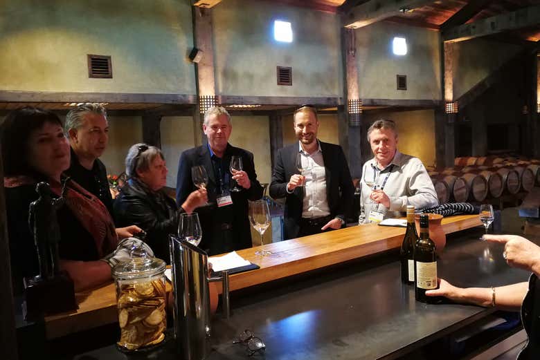 Tour de viñedos y bodegas por Hawke's Bay
