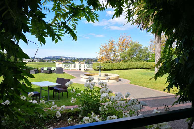 Tour de viñedos y bodegas por Hawke's Bay