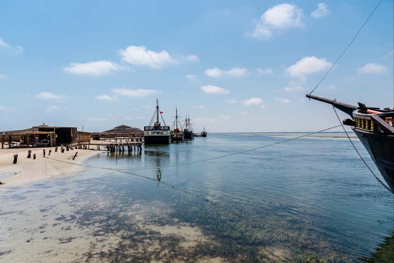 Paseo en barco pirata por Flamingo Island