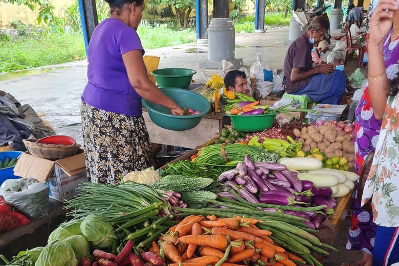 Visita guiada por Negombo