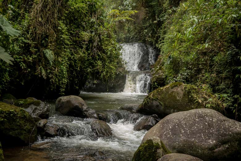 Excursión a los termales de San Vicente