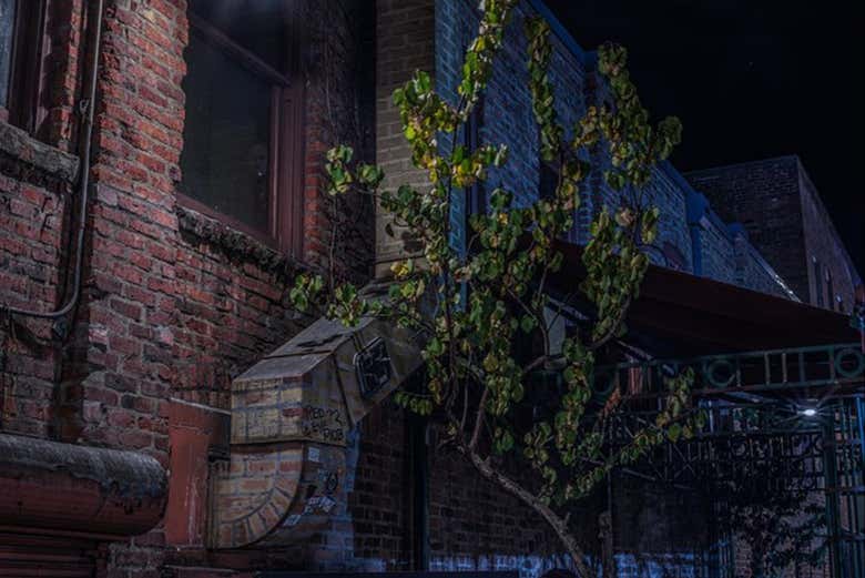 Tour de los fantasmas de Seattle