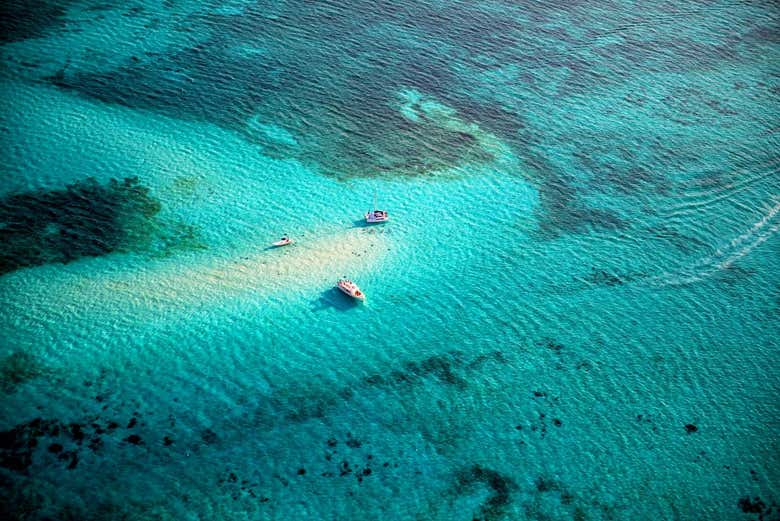 Avistamiento de rayas en Stingray City Antigua