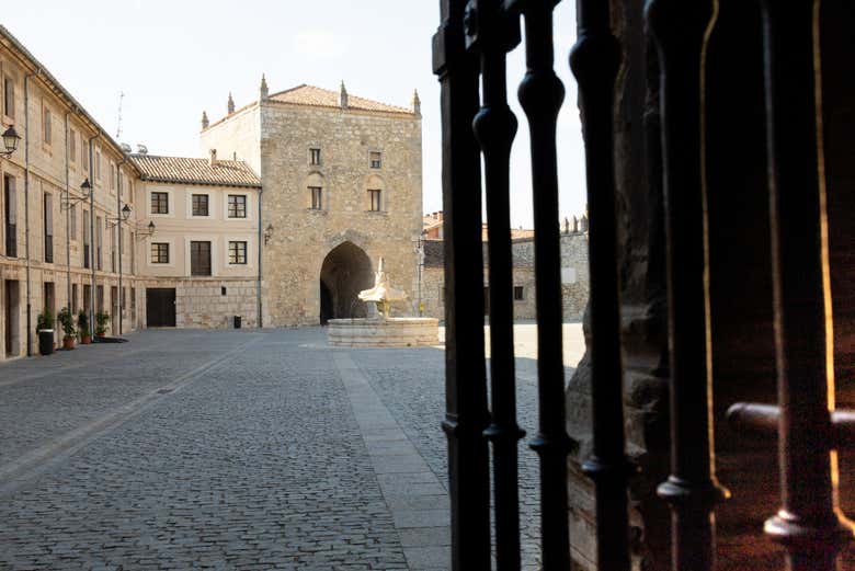 Visita guiada por el monasterio de las Huelgas