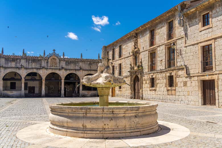 Visita guiada por el monasterio de las Huelgas