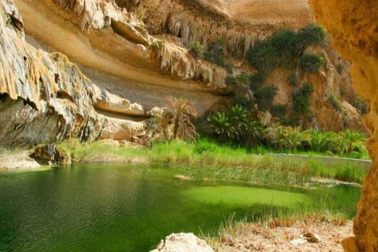 Excursión privada a Mirbat, Hasik y Wadi Ash Shuwaymiyyah