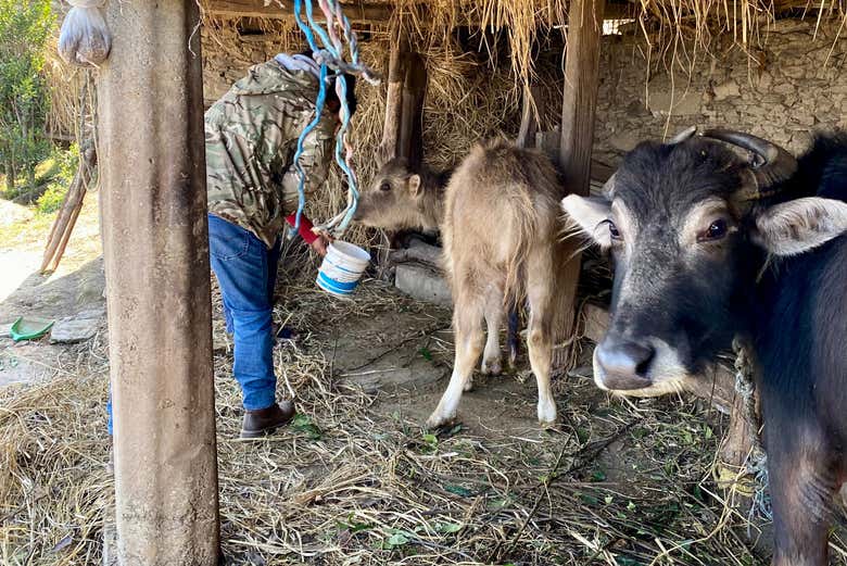 Visita a las comunidades de Kisti Ranni