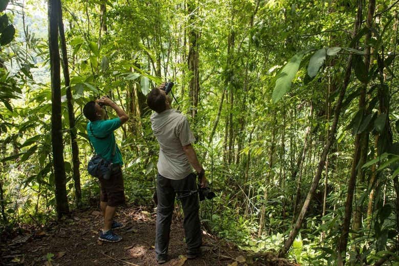 Senderismo por el Parque Nacional Tortuguero