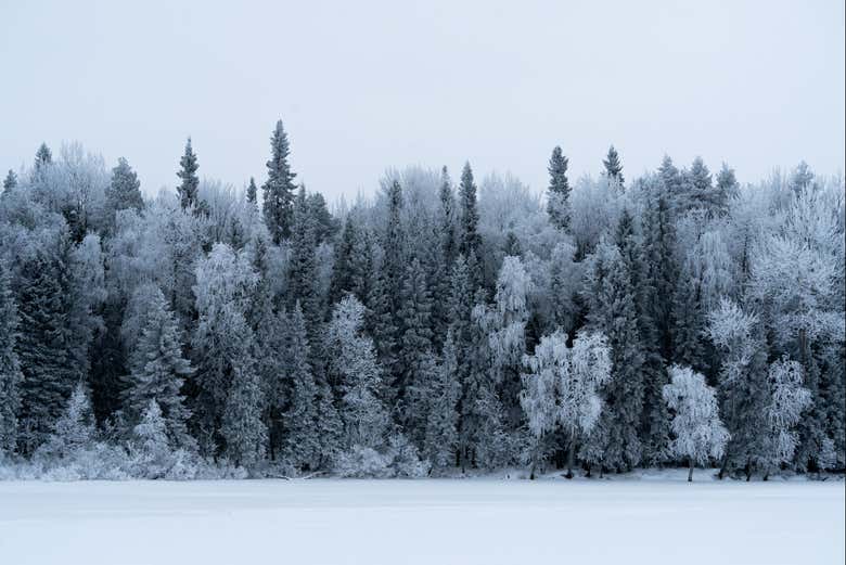 Alquiler de ropa de invierno en Rovaniemi