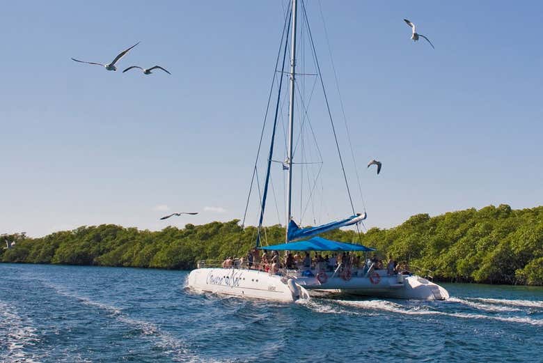 Paseo en catamarán por Cayo Santa María