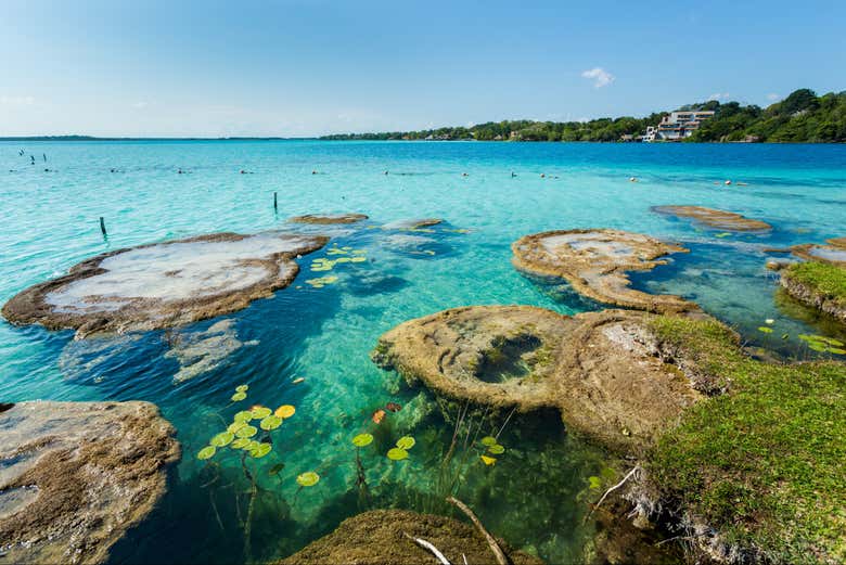 Alquiler de kayak en Bacalar