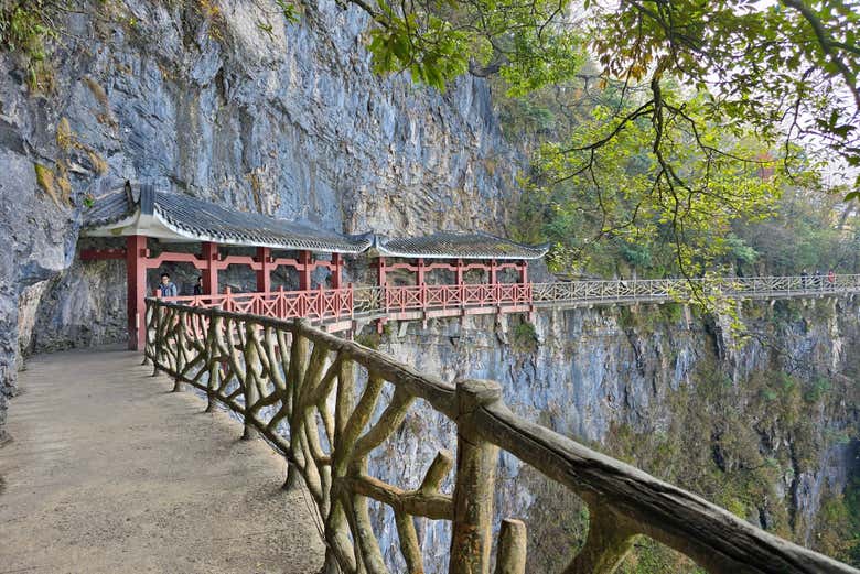 Entrada al Parque Nacional de la Montaña Tianmen + Teleférico