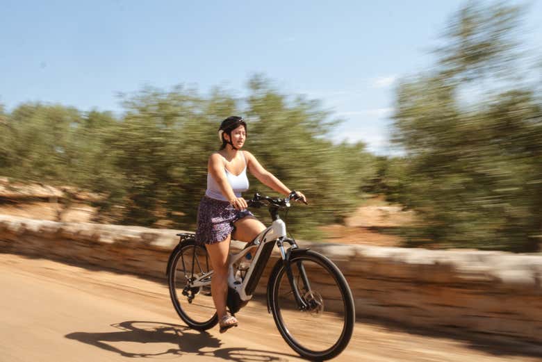 Excursión en bicicleta eléctrica a Locorotondo