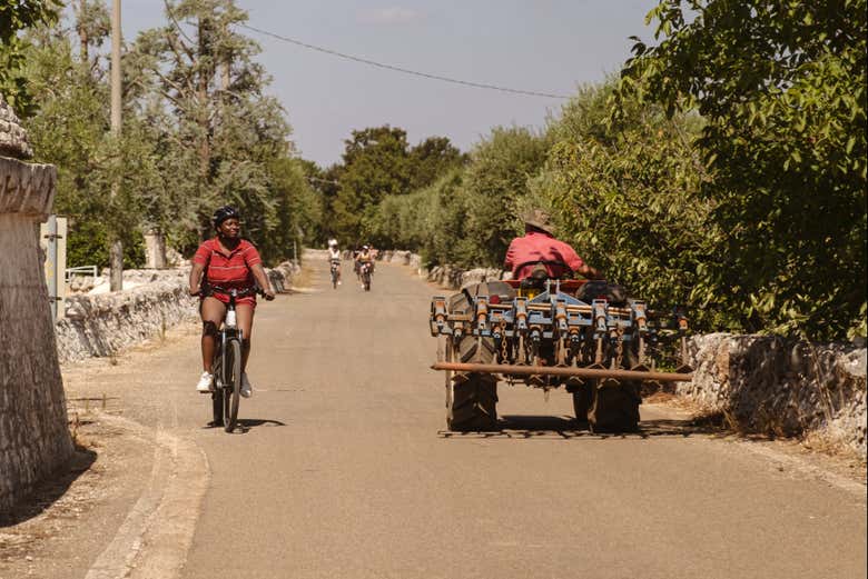 Excursión en bicicleta eléctrica a Locorotondo