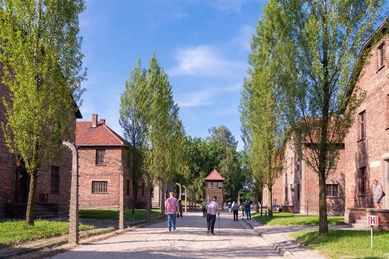 Excursión a Auschwitz-Birkenau por libre - Galería 1