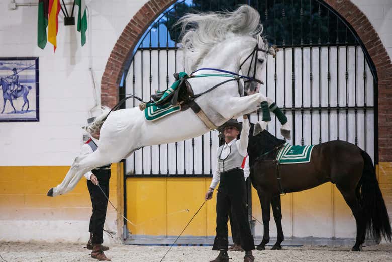 Espectáculo ecuestre en El Ranchito