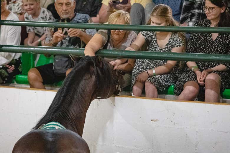 Espectáculo ecuestre en El Ranchito
