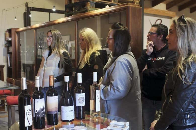 Visita a la bodega Butxet