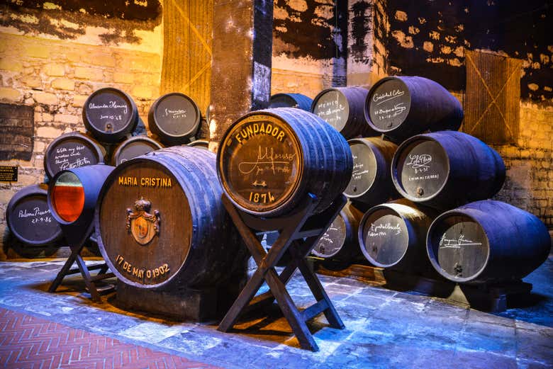 Visita a las Bodegas Fundador