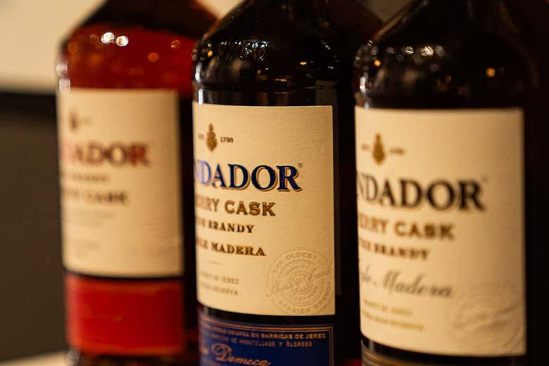 Visita a las Bodegas Fundador