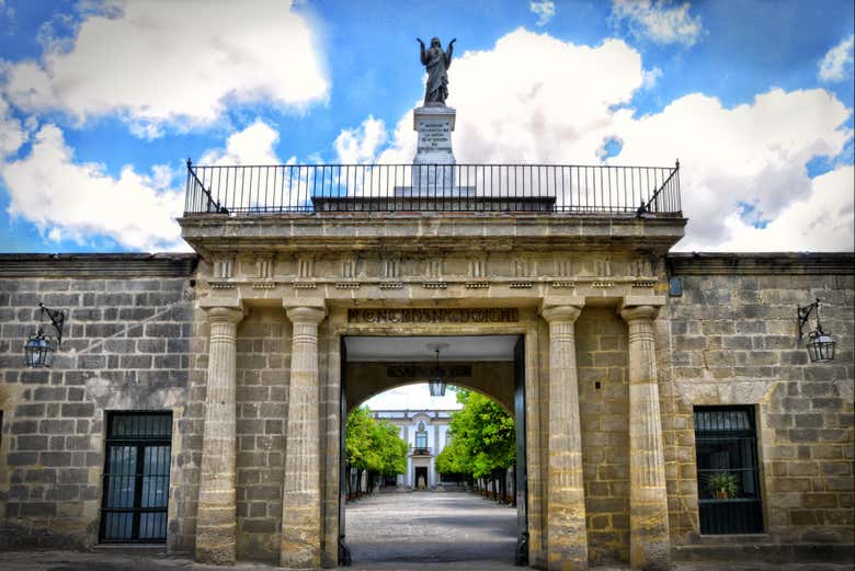 Visita a las Bodegas Fundador