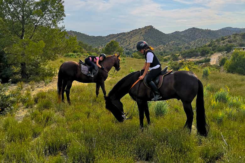 Paseo a caballo por Villajoyosa