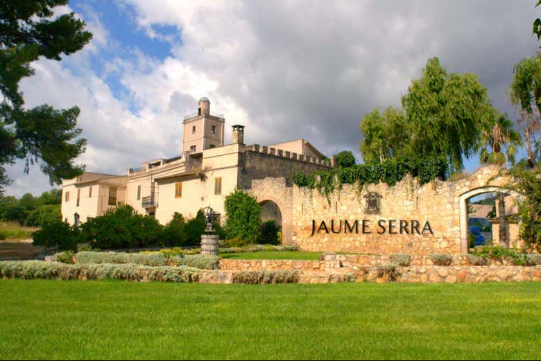 Visita a la bodega Jaume Serra
