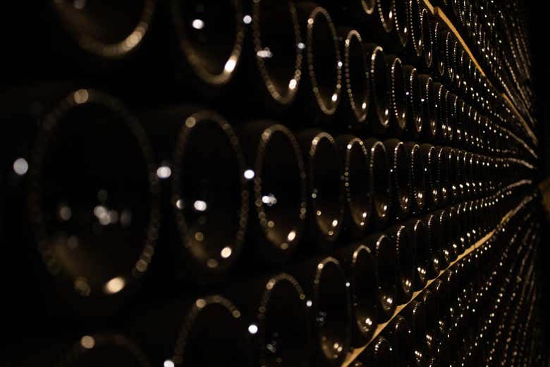 Visita a la bodega Jaume Serra