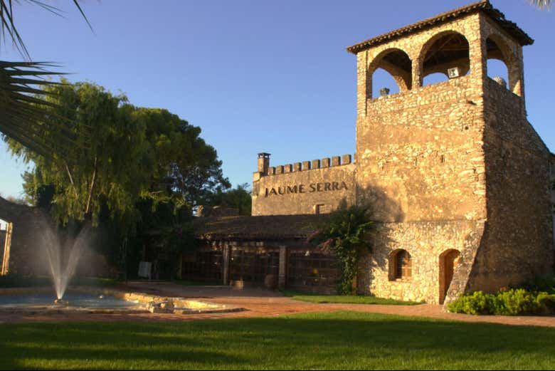 Visita a la bodega Jaume Serra