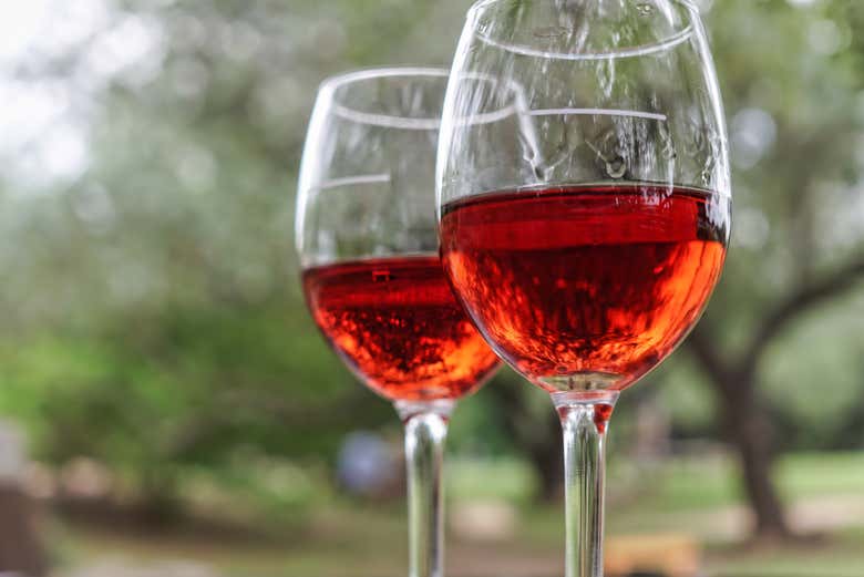 Visita a una bodega de Trani con cata de vinos