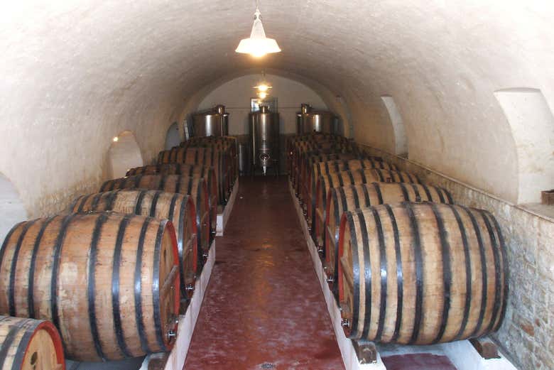 Visita a una bodega de Trani con cata de vinos