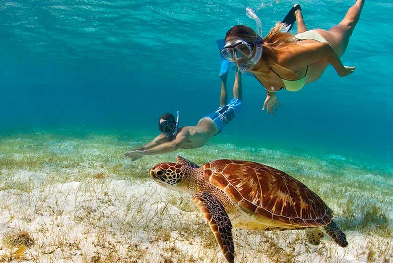 Snorkel en la piscina natural Media Luna