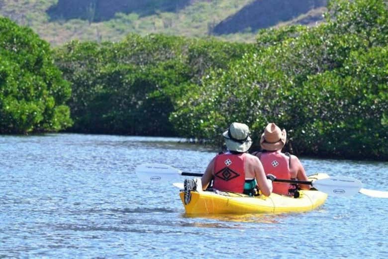 Tour en kayak por los manglares del Mogote