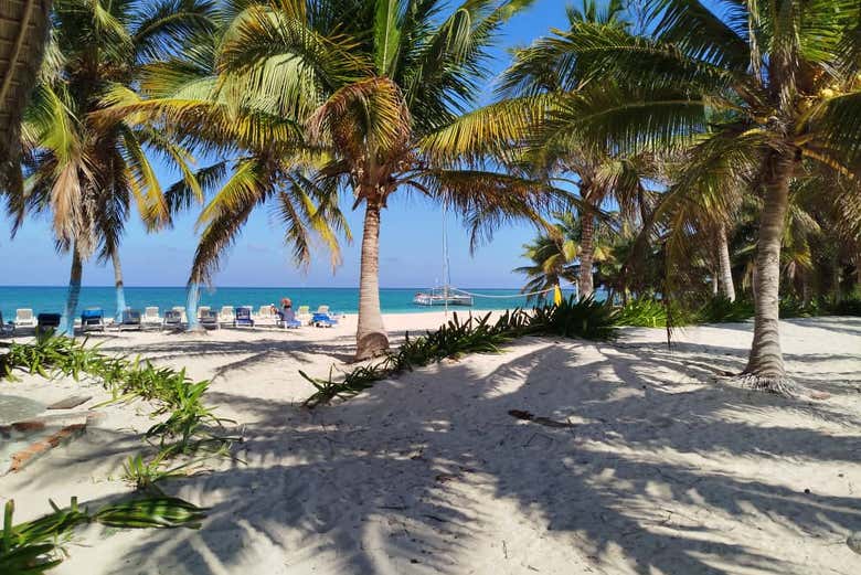 Excursión a Playa Bonita