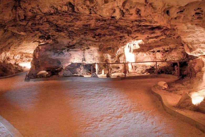 Excursión a las Cuevas de Hato y el santuario de flamencos