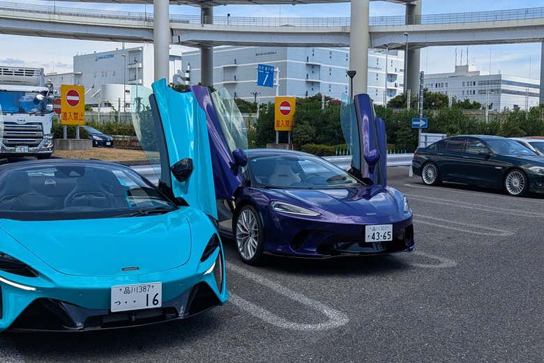 Excursión privada a Daikoku Parking Area
