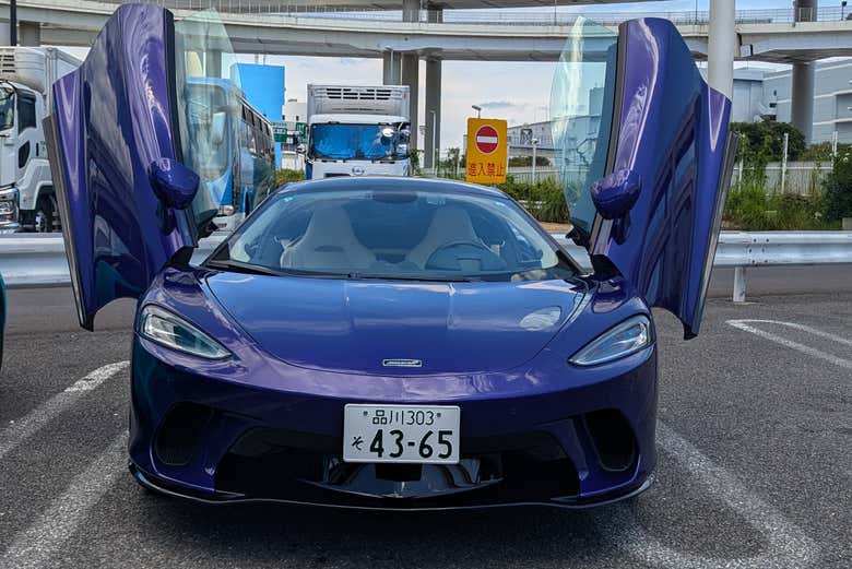 Excursión privada a Daikoku Parking Area - Galería 1
