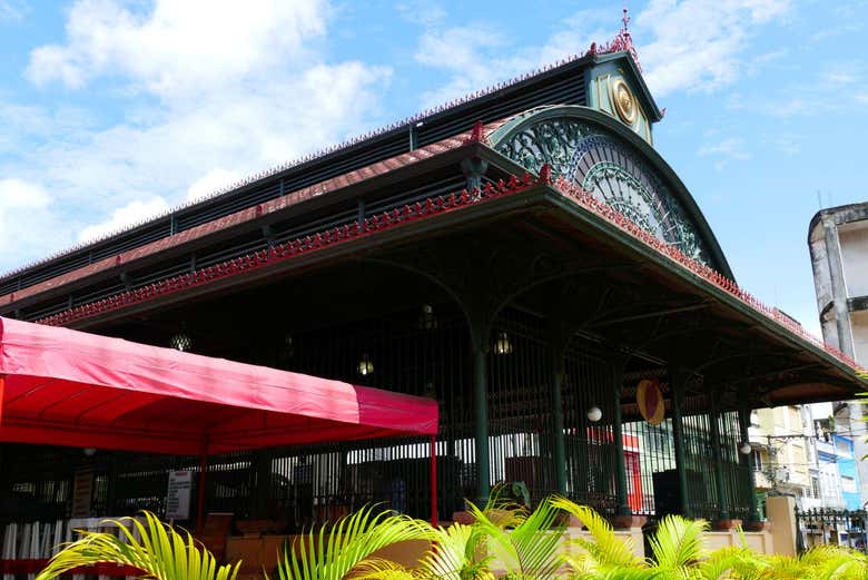 Visita guiada por Manaos y el Teatro Amazonas