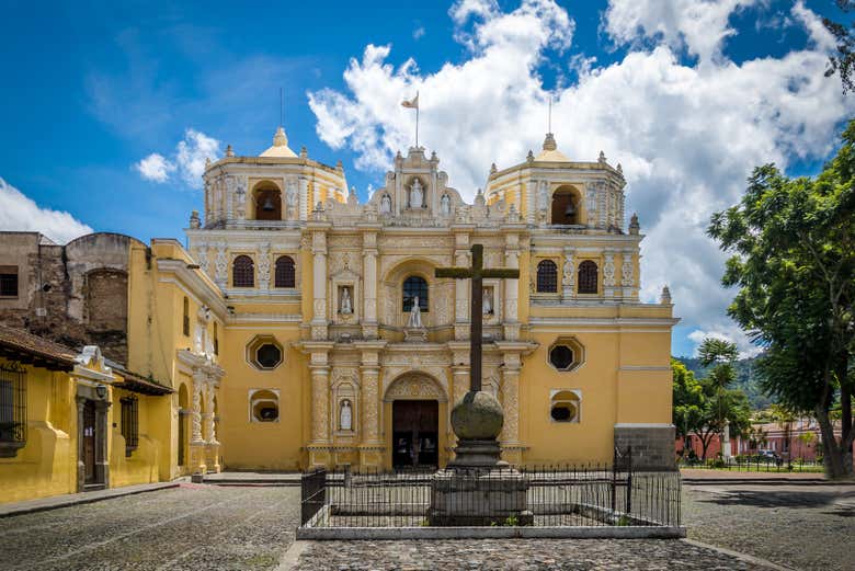 Excursión a Antigua Guatemala + Visita a una finca cafetera